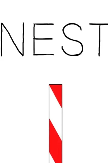 Nest